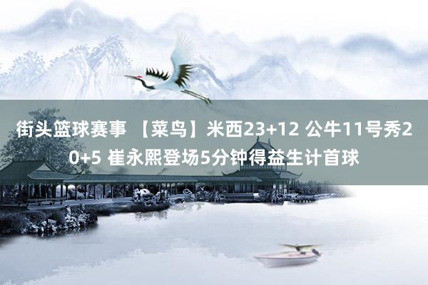 街头篮球赛事 【菜鸟】米西23+12 公牛11号秀20+5 崔永熙登场5分钟得益生计首球