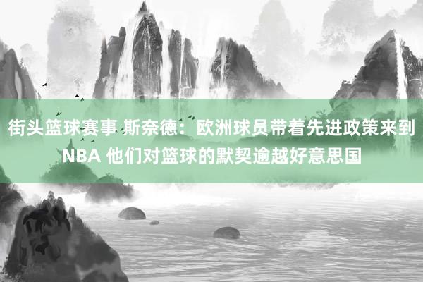 街头篮球赛事 斯奈德：欧洲球员带着先进政策来到NBA 他们对篮球的默契逾越好意思国