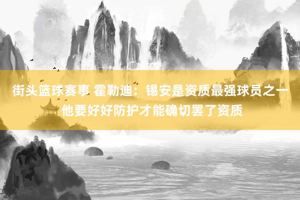 街头篮球赛事 霍勒迪：锡安是资质最强球员之一 他要好好防护才能确切罢了资质