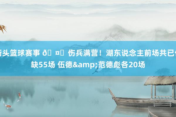 街头篮球赛事 🤕伤兵满营！湖东说念主前场共已伤缺55场 伍德&范德彪各20场